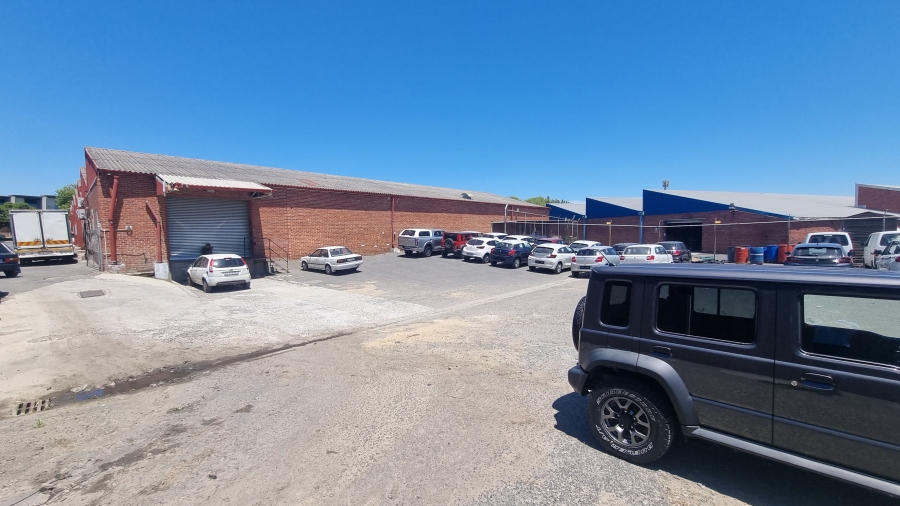 To Let commercial Property for Rent in Parow Industrial Western Cape